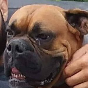 Meet your Posher, Juan